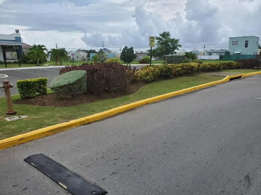 Jacaranda Gated Calm Apartman Sydenham Pen 0*,  Jamaica